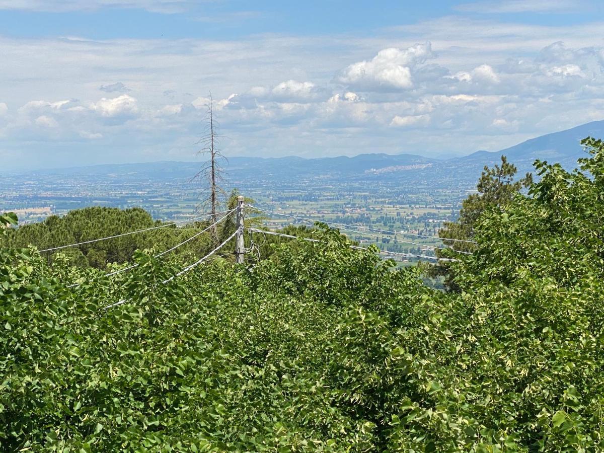 App. Con Terrazza Panoramica In Centro-Montefalco Exterior foto